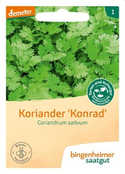 Produktfoto zu Samen: Koriander