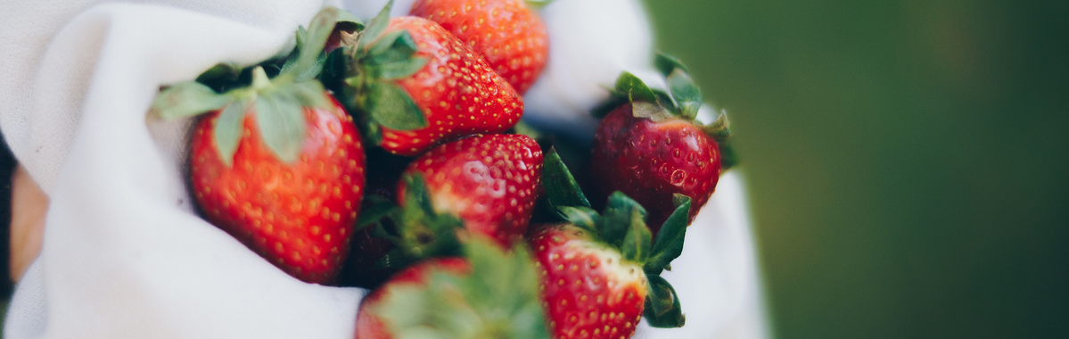 Warenkunde Obst und Gemüse in der Ökokiste