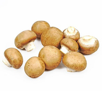 KI generiert: Das Bild zeigt mehrere braune Champignons auf einem weißen Hintergrund. Die Pilze sind ungeschnitten und liegen in einer Gruppe zusammen.