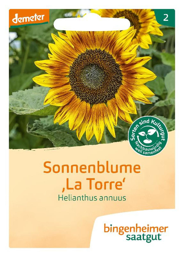 Produktfoto zu Samen: Sonnenblumen 'La Torre'