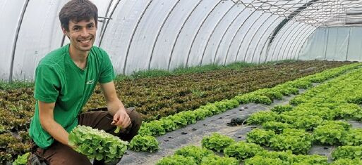 KI generiert: Ein Mann in einem Gewächshaus hält frischen Salat.