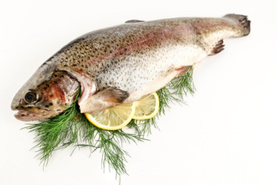 Produktfoto zu Frische Forelle ganz