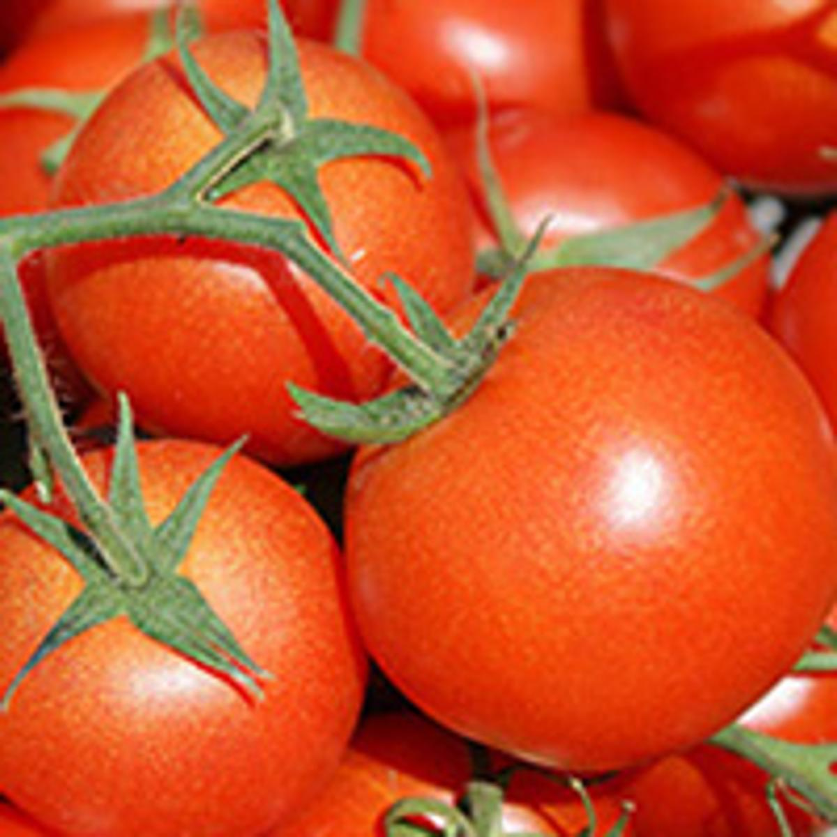 Tomaten regio