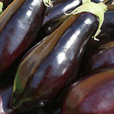 Produktfoto zu Auberginen