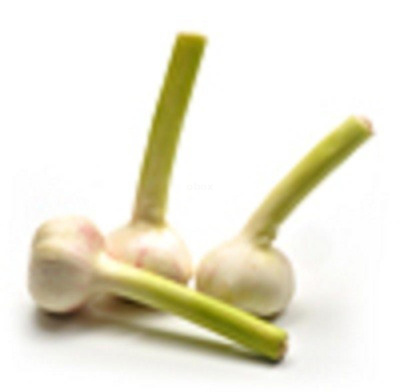 Produktfoto zu Knoblauch frisch