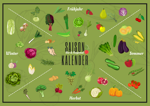 KI generiert: Saisonkalender mit Gemüse- und Obstsorten für Winter, Frühjahr, Sommer, Herbst. Text: "SAISON Bio & Regional KALENDER".