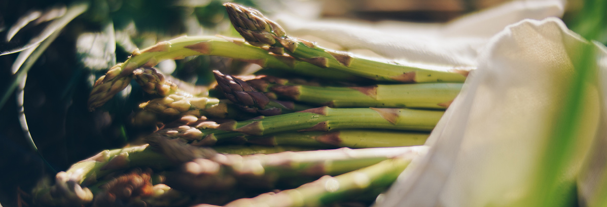 Warenkunde Obst und Gemüse in der Ökokiste