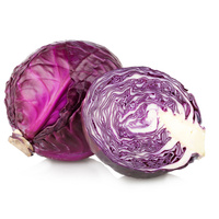 Blaukraut