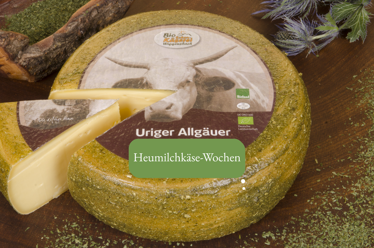 KI generiert: Ein Käselaib mit einem Stück abgeschnitten, beschriftet mit „Uriger Allgäuer“. Text: „Heumilchkäse-Wochen“.