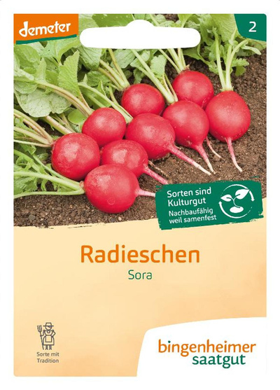 Produktfoto zu Samen: Radieserl 'Sora'