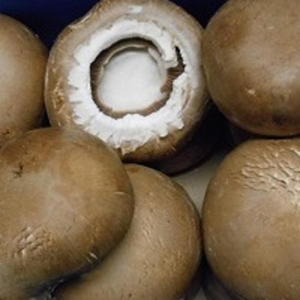 Champignons Portobello