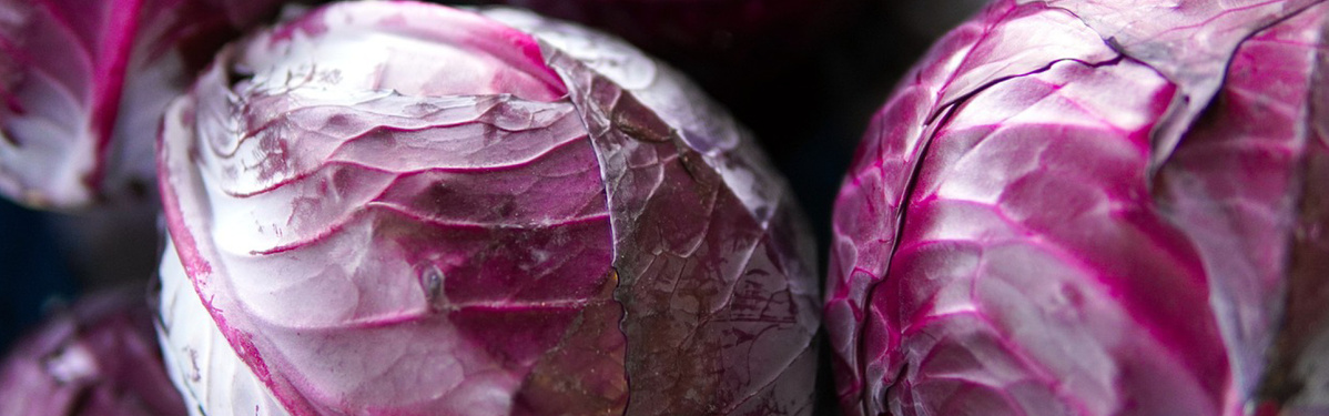 Warenkunde Obst und Gemüse in der Ökokiste