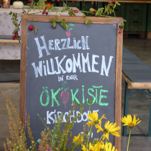 KI generiert: Ein Gemüsefeld mit Kohl und Gemüse unter bewölktem Himmel. Im Hintergrund sind Gewächshäuser zu sehen.