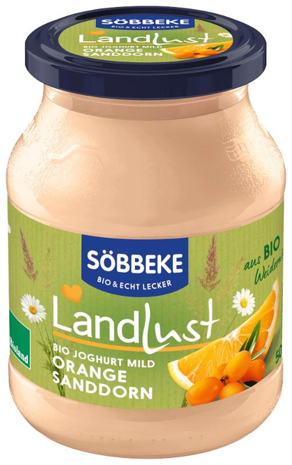 Produktfoto zu NEU: Joghurt Sanddorn Orange