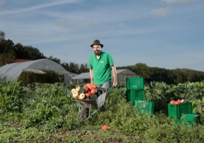 KI generiert: Ein Mann schiebt eine Schubkarre voller Gemüse auf einem Feld.