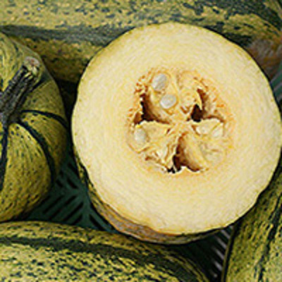 Produktfoto zu Spaghettikürbis, Stück