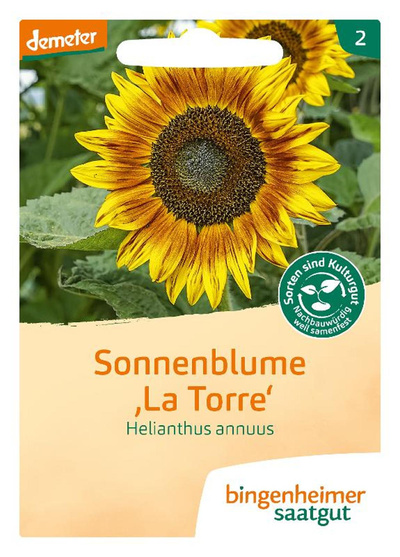 Produktfoto zu Samen: Sonnenblumen 'La Torre'