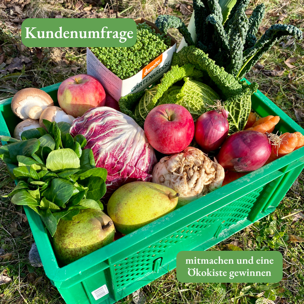 KI-generierte Beschreibung: Das Bild zeigt eine Kundenumfrage mit Gemüse und einem Flyer auf einer Wiese. Text: "Kundenumfrage", "mitmachen und eine Ökokiste gewinnen".