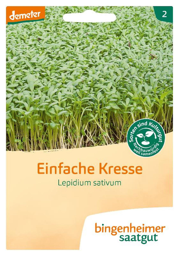 Produktfoto zu Samen: Einfache Kresse