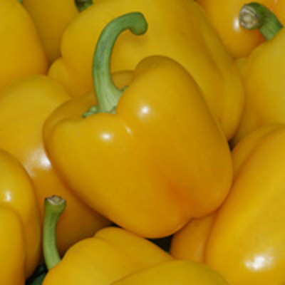 Produktfoto zu Paprika gelb regio (60-80% Farbe)
