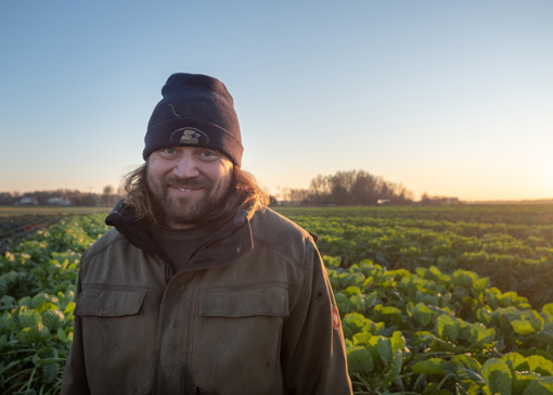 KI generiert: Ein Mann mit Mütze steht auf einem Gemüsefeld bei Sonnenuntergang.