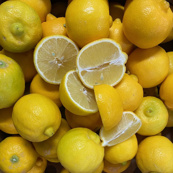 Produktfoto zu Bergamotte