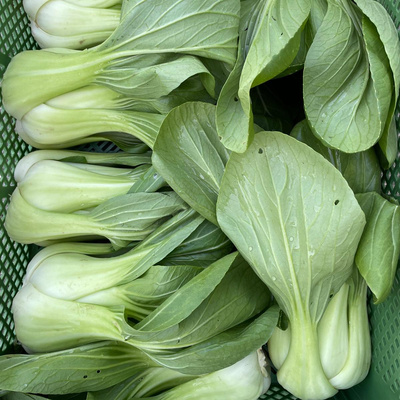 Produktfoto zu Pak Choi, Stück ca. 400 g_St.