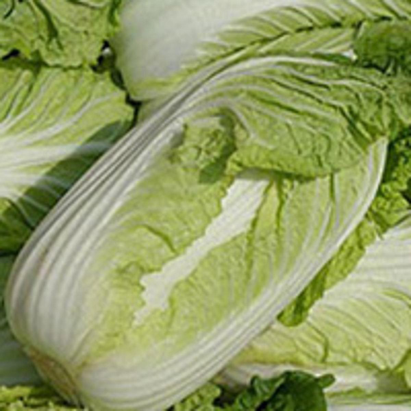 Produktfoto zu Chinakohl, Stückware