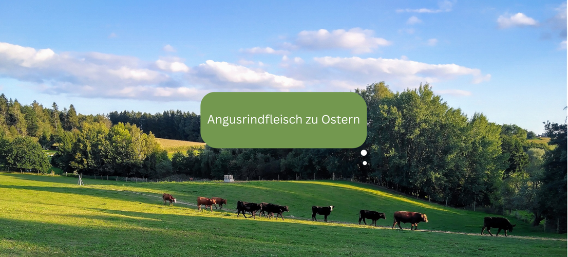 KI generiert: Kühe auf einer grünen Weide unter blauem Himmel. Text: "Angusrindfleisch zu Ostern".