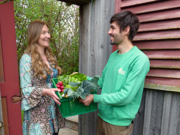 KI generiert: Ein Mann überreicht einer Frau eine grüne Kiste mit frischem Gemüse.