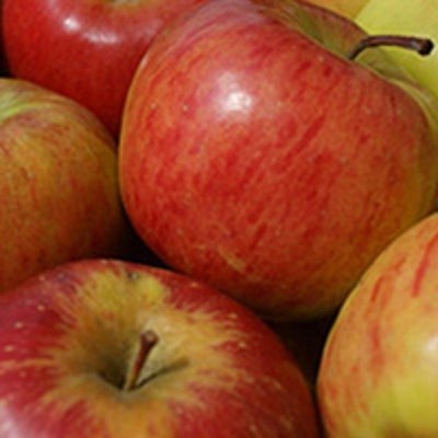 Produktfoto zu Äpfel Topaz