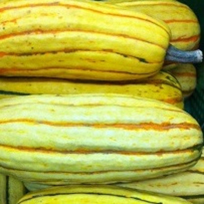 Produktfoto zu Kürbis Delicata