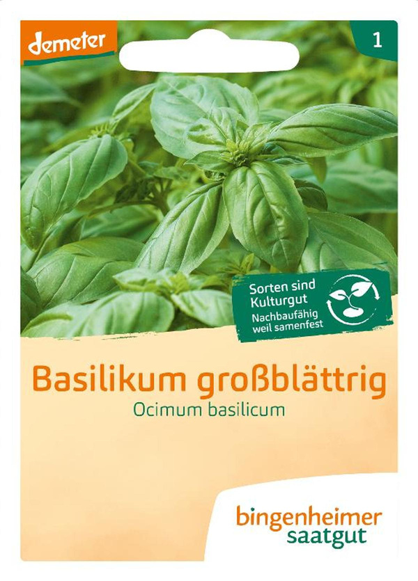 Produktfoto zu Samen: Basilikum großblättrig