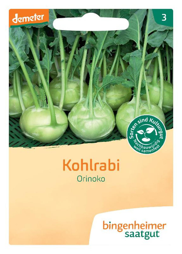 Produktfoto zu Samen: Kohlrabi 'Orinoko'