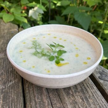 Rezeptbild für Gekühlte Fenchel-Suppe