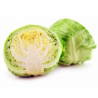 Weißkraut