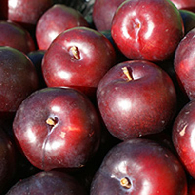 Produktfoto zu Pflaumen rot