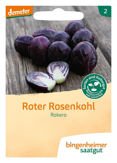 Produktfoto zu Samen: Roter Rosenkohl 'Rokero'