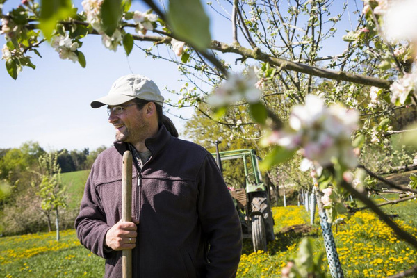 KI generiert: Ein Mann steht mit einem Spaten in einem blühenden Obstgarten. Im Hintergrund ist ein Traktor.