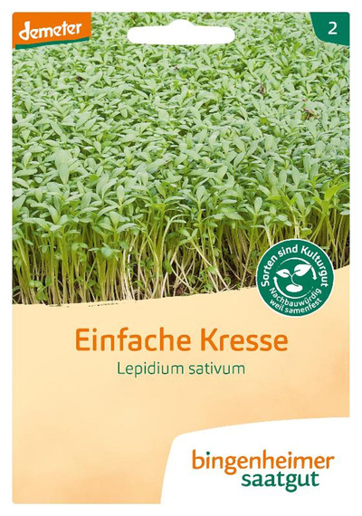 Produktfoto zu Samen: Einfache Kresse