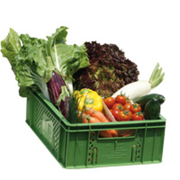 Querbeet-Gemüsekiste mittel