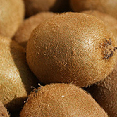 Produktfoto zu Kiwi