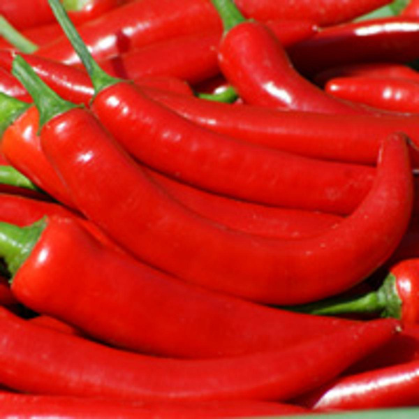 Produktfoto zu Peperoni rot mittelsch. regio