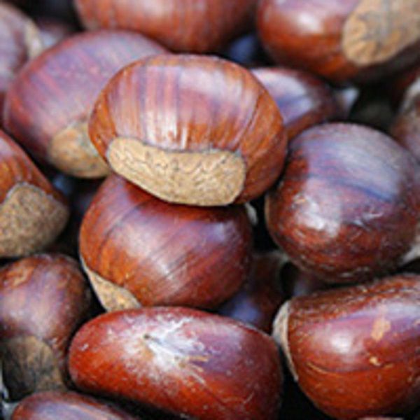 Produktfoto zu Maroni (Esskastanien)