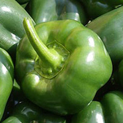 Produktfoto zu Paprika grün