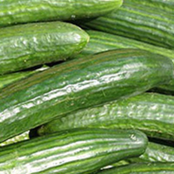 Produktfoto zu Gurke regio