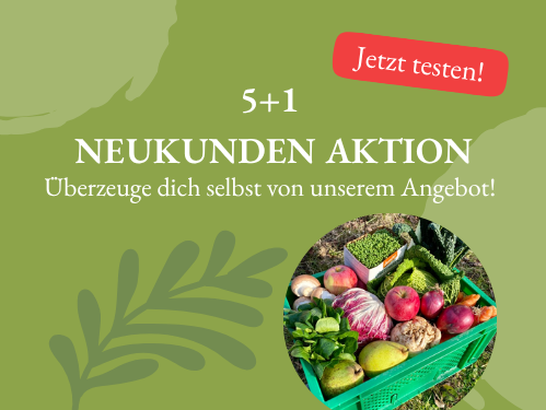 KI generiert: Anzeige mit Gemüse in einer Kiste und Text: "5+1 NEUKUNDEN AKTION. Überzeuge dich selbst von unserem Angebot!"