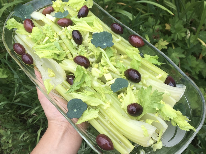 Rezeptbild für Marinierter Stangensellerie mit Oliven