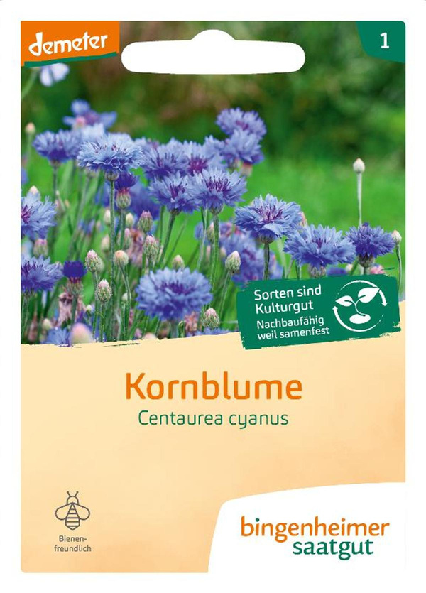 Produktfoto zu Samen: Kornblume