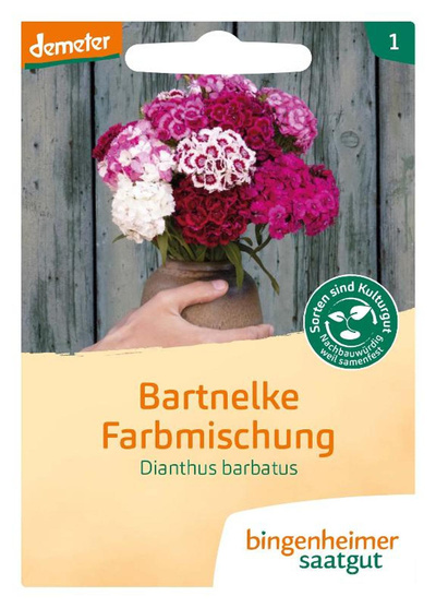 Produktfoto zu Samen: Bartnelke Farbmischung